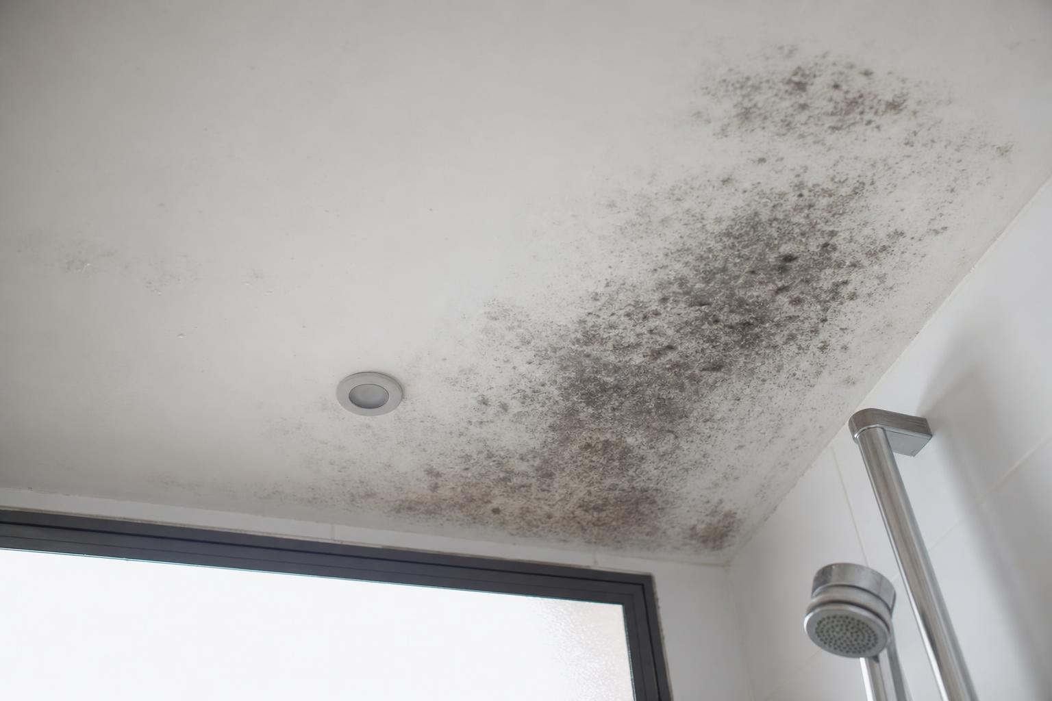 How to Remove Mould from Your Ceiling in Singapore: Complete Guide