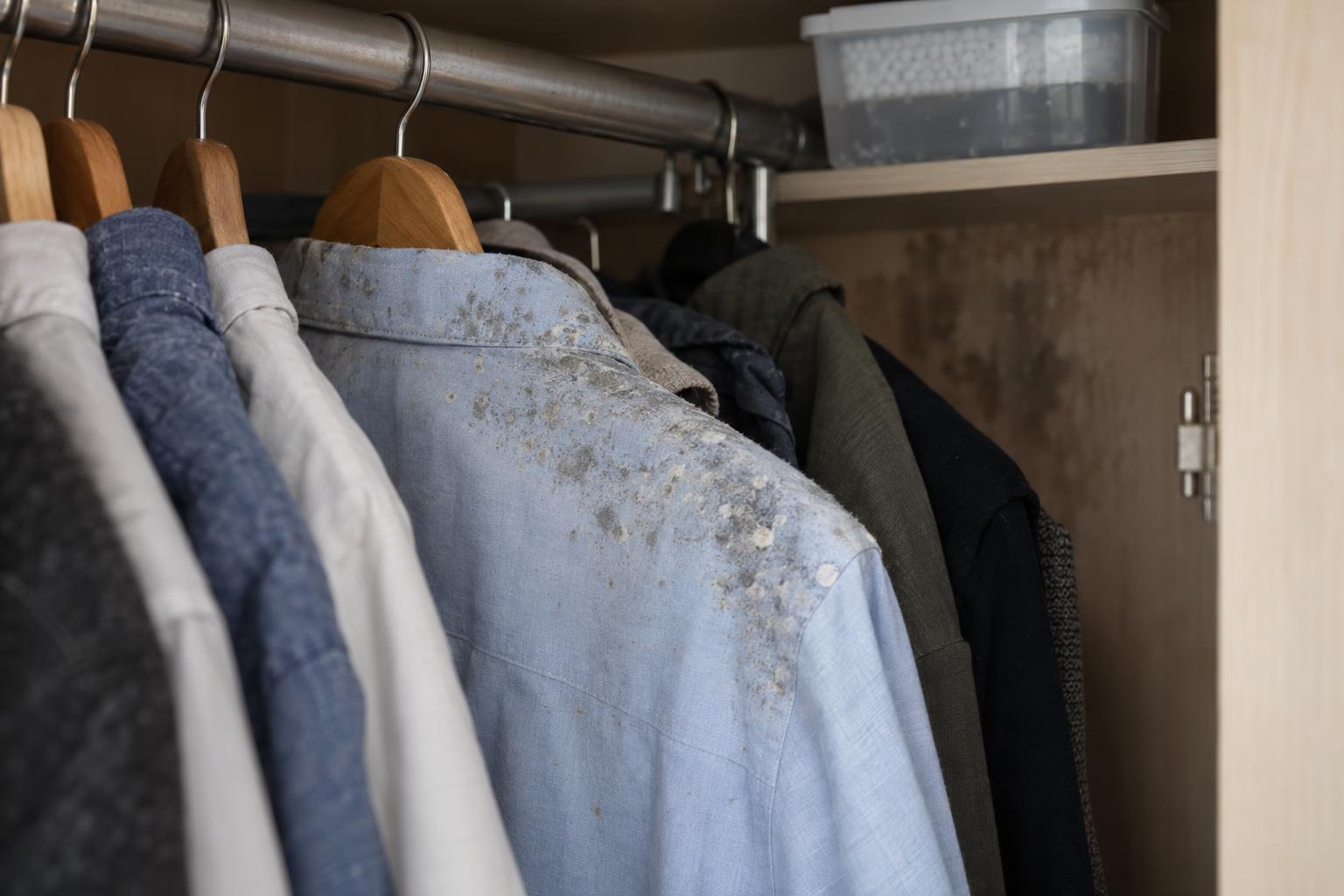 How to Remove Mold from Clothes: A Singapore Guide