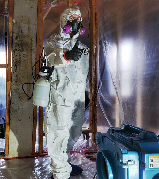 mold busters singapore asbestos testing